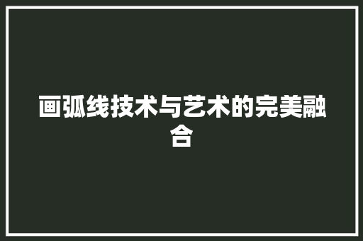 画弧线技术与艺术的完美融合
