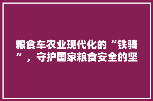 粮食车农业现代化的“铁骑”，守护国家粮食安全的坚实屏障