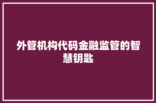 外管机构代码金融监管的智慧钥匙  第1张