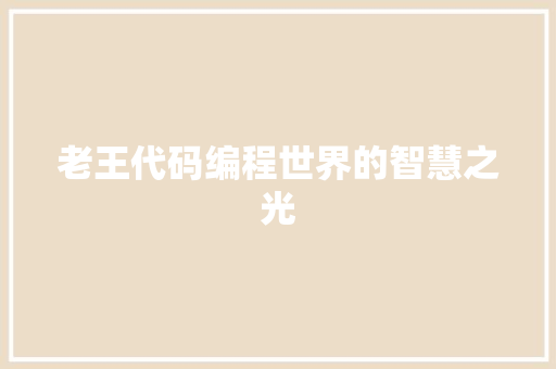 老王代码编程世界的智慧之光