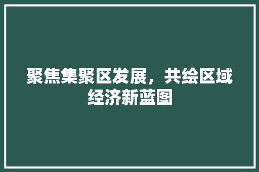 聚焦集聚区发展，共绘区域经济新蓝图  第1张