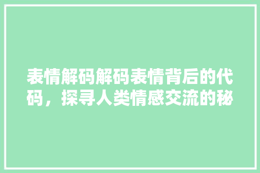 表情解码解码表情背后的代码，探寻人类情感交流的秘密