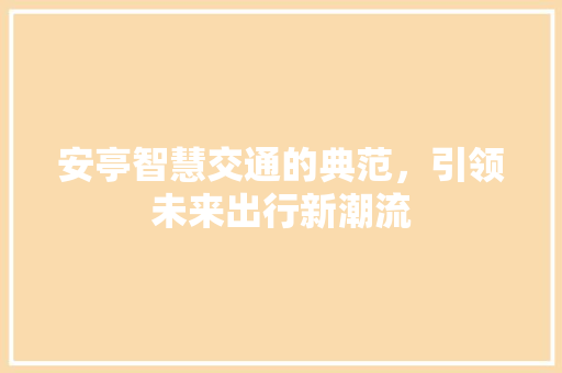 安亭智慧交通的典范，引领未来出行新潮流