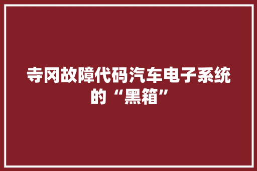 寺冈故障代码汽车电子系统的“黑箱”