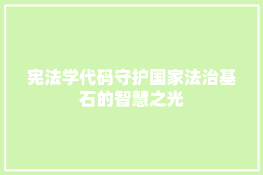 宪法学代码守护国家法治基石的智慧之光