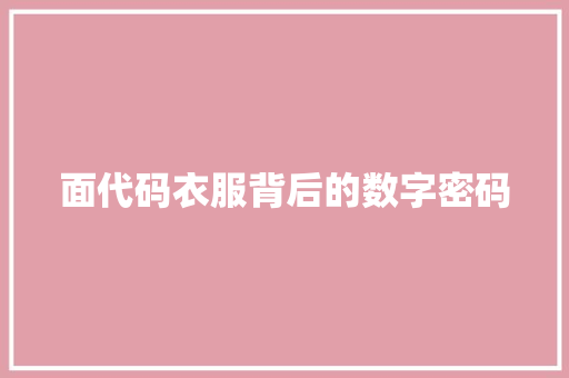 面代码衣服背后的数字密码