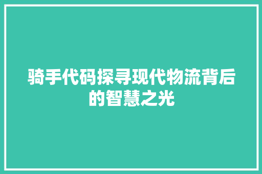骑手代码探寻现代物流背后的智慧之光