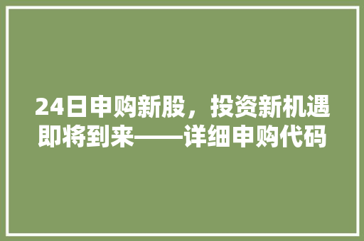 24日申购新股，投资新机遇即将到来——详细申购代码背后的投资价值