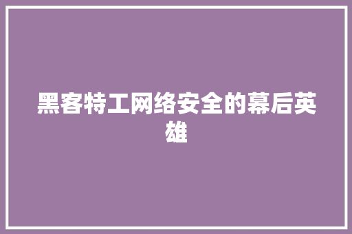 黑客特工网络安全的幕后英雄