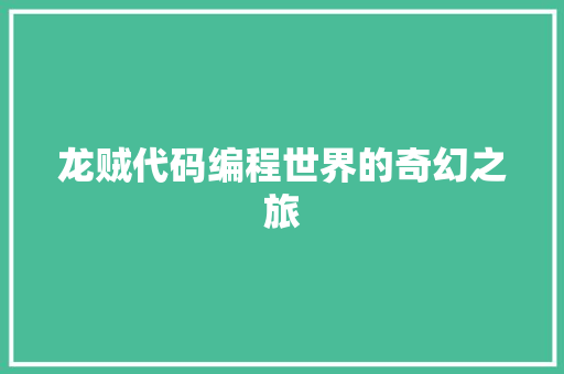 龙贼代码编程世界的奇幻之旅