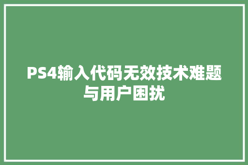PS4输入代码无效技术难题与用户困扰