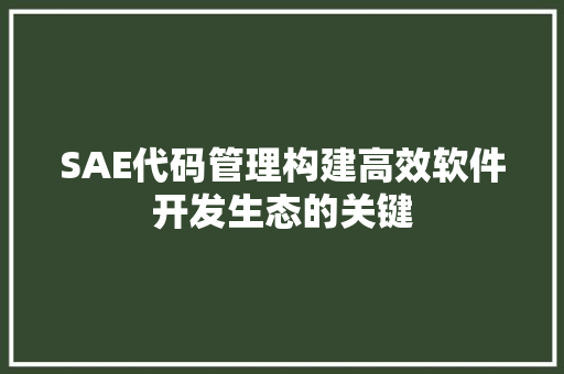 SAE代码管理构建高效软件开发生态的关键