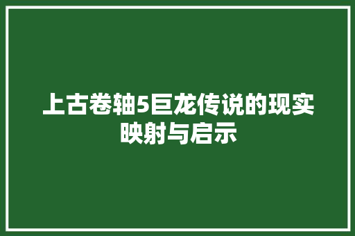 上古卷轴5巨龙传说的现实映射与启示