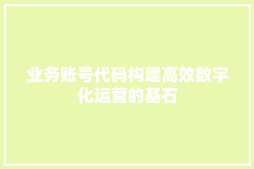业务账号代码构建高效数字化运营的基石