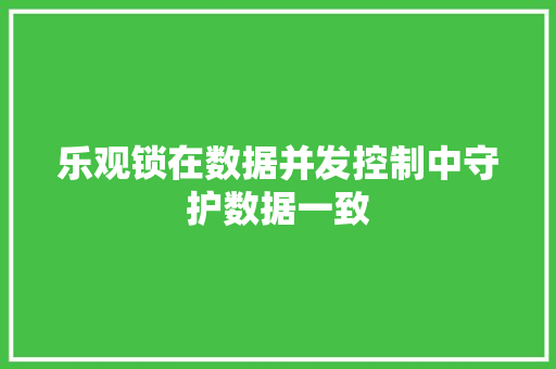 乐观锁在数据并发控制中守护数据一致