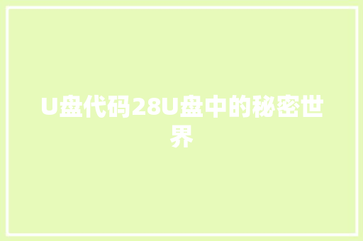 U盘代码28U盘中的秘密世界