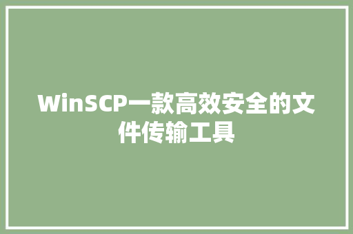 WinSCP一款高效安全的文件传输工具