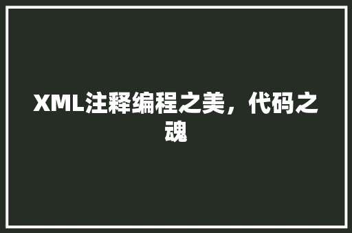 XML注释编程之美，代码之魂