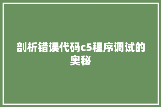 剖析错误代码c5程序调试的奥秘