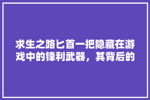求生之路匕首一把隐藏在游戏中的锋利武器，其背后的故事与代码奥秘
