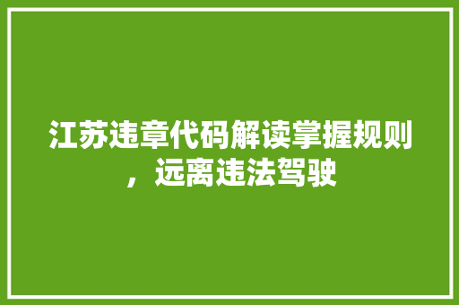 江苏违章代码解读掌握规则，远离违法驾驶