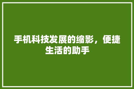 手机科技发展的缩影，便捷生活的助手  第1张
