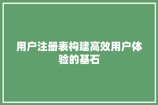 用户注册表构建高效用户体验的基石