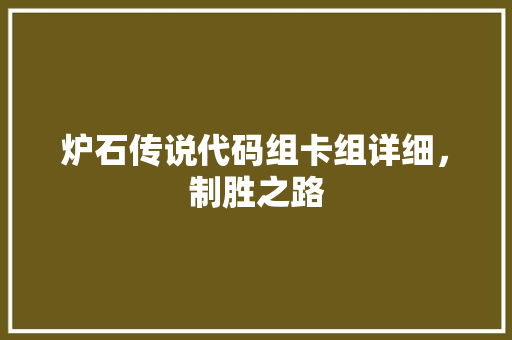 炉石传说代码组卡组详细，制胜之路