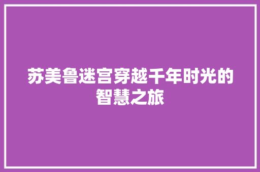 苏美鲁迷宫穿越千年时光的智慧之旅