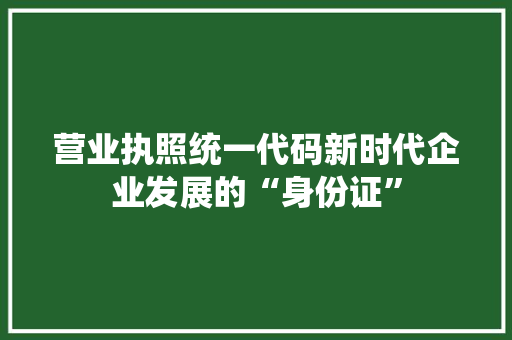 营业执照统一代码新时代企业发展的“身份证”