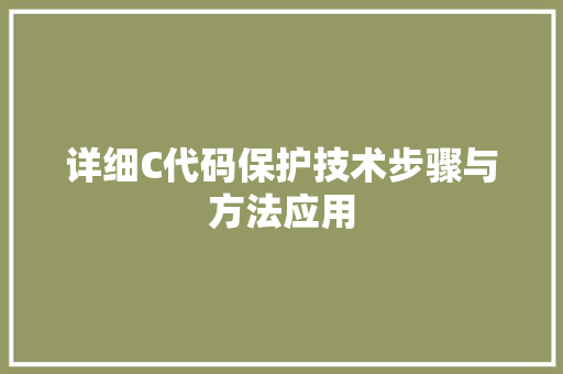 详细C代码保护技术步骤与方法应用