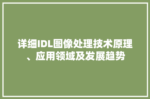 详细IDL图像处理技术原理、应用领域及发展趋势