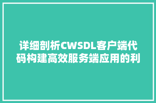 详细剖析CWSDL客户端代码构建高效服务端应用的利器