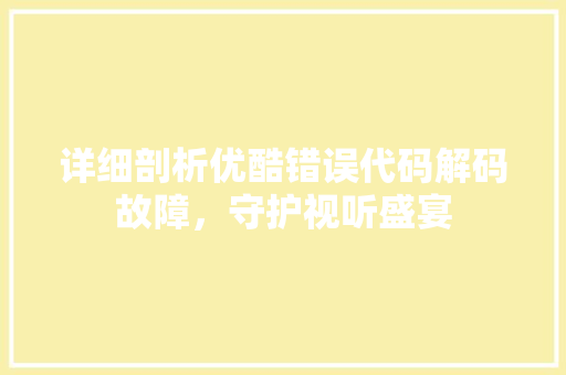 详细剖析优酷错误代码解码故障，守护视听盛宴
