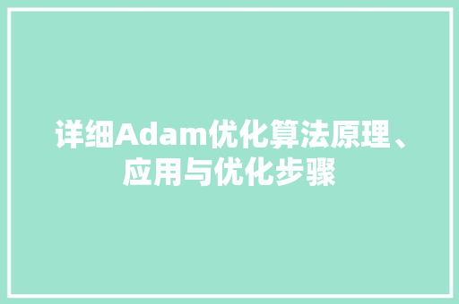 详细Adam优化算法原理、应用与优化步骤