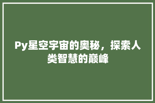 Py星空宇宙的奥秘，探索人类智慧的巅峰