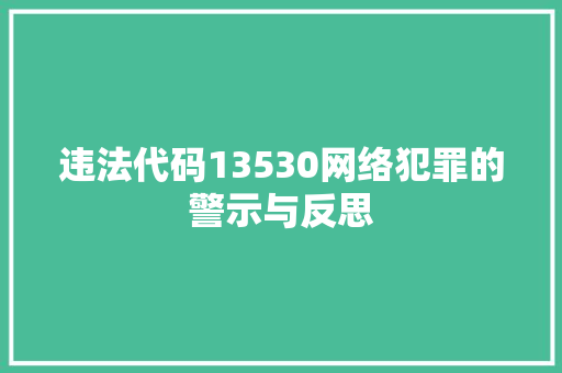 违法代码13530网络犯罪的警示与反思