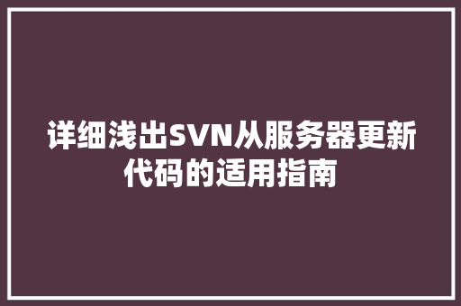 详细浅出SVN从服务器更新代码的适用指南