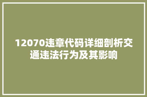 12070违章代码详细剖析交通违法行为及其影响  第1张