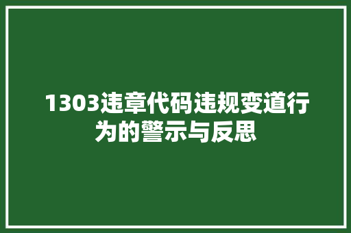 1303违章代码违规变道行为的警示与反思