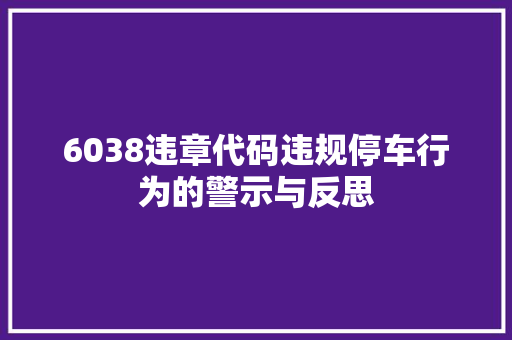 6038违章代码违规停车行为的警示与反思