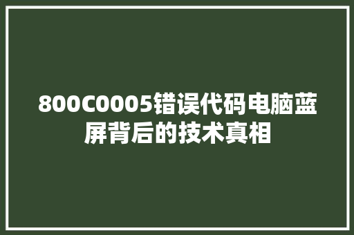 800C0005错误代码电脑蓝屏背后的技术真相