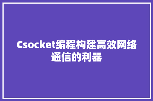 Csocket编程构建高效网络通信的利器