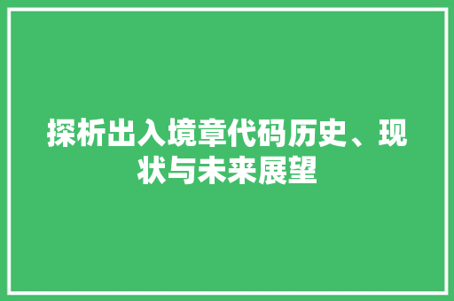探析出入境章代码历史、现状与未来展望