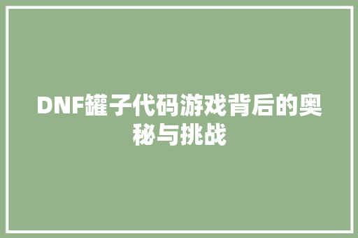 DNF罐子代码游戏背后的奥秘与挑战