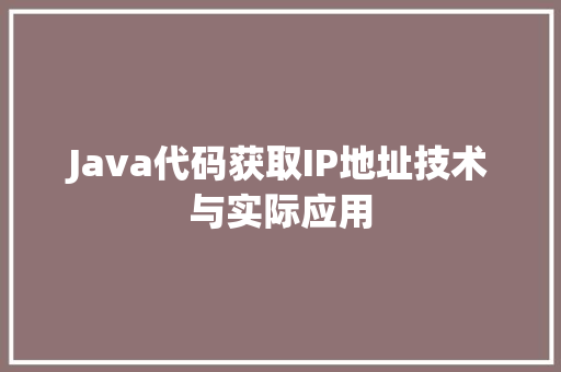 Java代码获取IP地址技术与实际应用