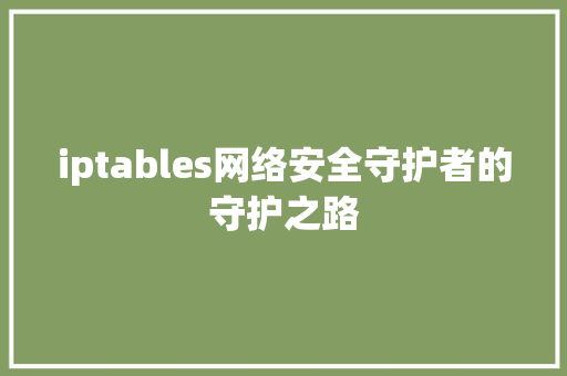 iptables网络安全守护者的守护之路