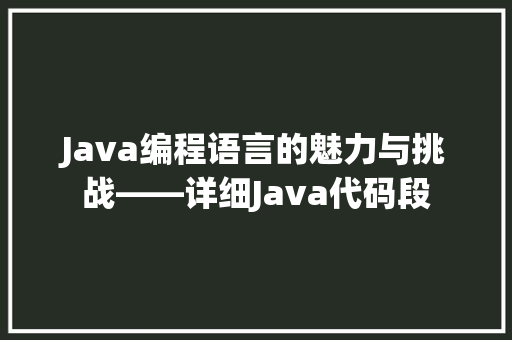 Java编程语言的魅力与挑战——详细Java代码段