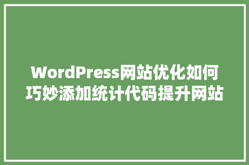 WordPress网站优化如何巧妙添加统计代码提升网站运营效果  第1张