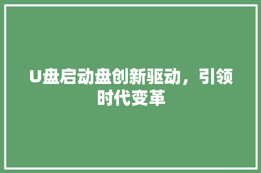 U盘启动盘创新驱动，引领时代变革